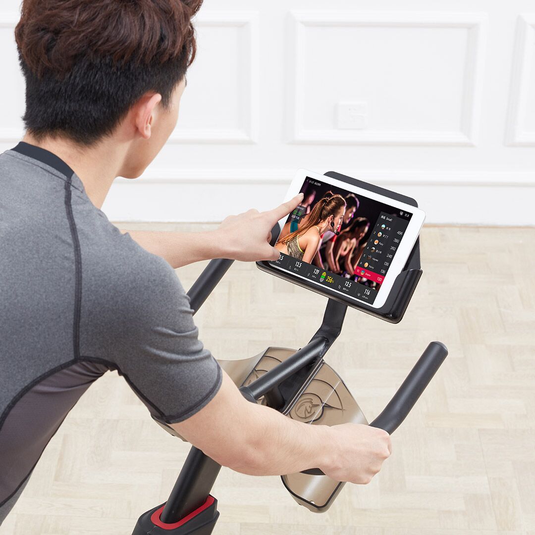 Велосипедный тренажер Xiaomi Yesoul Wild Beast Intelligent Spinning Bike M1-Knight
